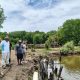 Kolaborasi FisTx, Carbon Ethics, dan SAMPAN Kalimantan Hadirkan Silvofishery Modern di Desa Dabong