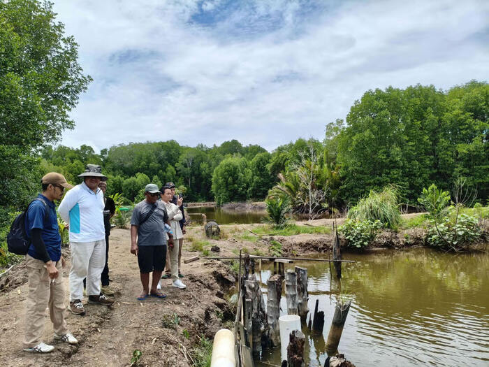 Kolaborasi FisTx, Carbon Ethics, dan SAMPAN Kalimantan Hadirkan Silvofishery Modern di Desa Dabong Kolaborasi FisTx, Carbon Ethics, dan SAMPAN Kalimantan Hadirkan Silvofishery Modern di Desa Dabong