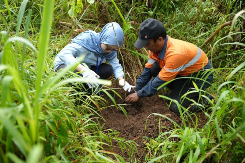 Jaga Kelestarian Alam Indonesia, WSBP Kembali Tanam 536 Pohon Trembesi Jaga Kelestarian Alam Indonesia, WSBP Kembali Tanam 536 Pohon Trembesi