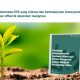 Carbon Offset Lewat Mangrove: LindungiHutan Rilis eBook Panduan di Tengah Krisis Iklim
