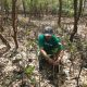 Warga Wonorejo Bangkitkan Ekonomi Lewat Rehabilitasi Mangrove Bersama LindungiHutan