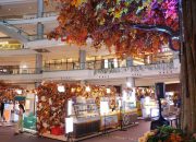 Autumn Foliage di PIK Avenue: Saat Warna-Warni Musim Gugur Hadir di Jakarta