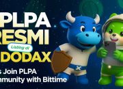 Palapa Token Platform Bittime Resmi Listing di Indodax, Catatkan Pertumbuhan Hingga 926.1%