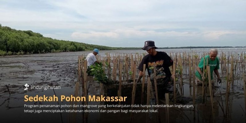 Abrasi Ancam Makassar, LindungiHutan Ajak Publik Berdonasi Pohon untuk Rehabilitasi Pesisir Untia Abrasi Ancam Makassar, LindungiHutan Ajak Publik Berdonasi Pohon untuk Rehabilitasi Pesisir Untia