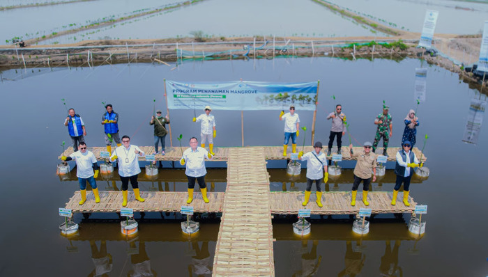 Tanam 16.000 Bibit Mangrove, PT Pelindo Solusi Logistik Perkuat Ekosistem Blue Carbon untuk Mitigasi Perubahan Iklim