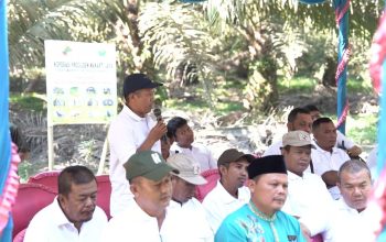 PalmCo, Subholding Holding Perkebunan Nusantara, Jadi “Pahlawan Baru” Ekonomi Rakyat PalmCo, Subholding Holding Perkebunan Nusantara, Jadi “Pahlawan Baru” Ekonomi Rakyat