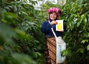 KOLTIVA dan Mitra Dukung Sugata Transformasi Rantai Pasok Kakao Berkelanjutan Gender-Carbon