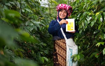 KOLTIVA dan Mitra Dukung Sugata Transformasi Rantai Pasok Kakao Berkelanjutan Gender-Carbon