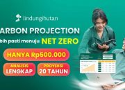 LindungiHutan Luncurkan “Carbon Projection”, Fitur Perhitungan Serapan Karbon Jangka Panjang